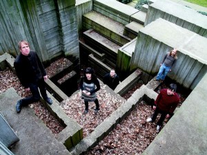 The Kindness Kind Seattle The Kindness Kind Seattle